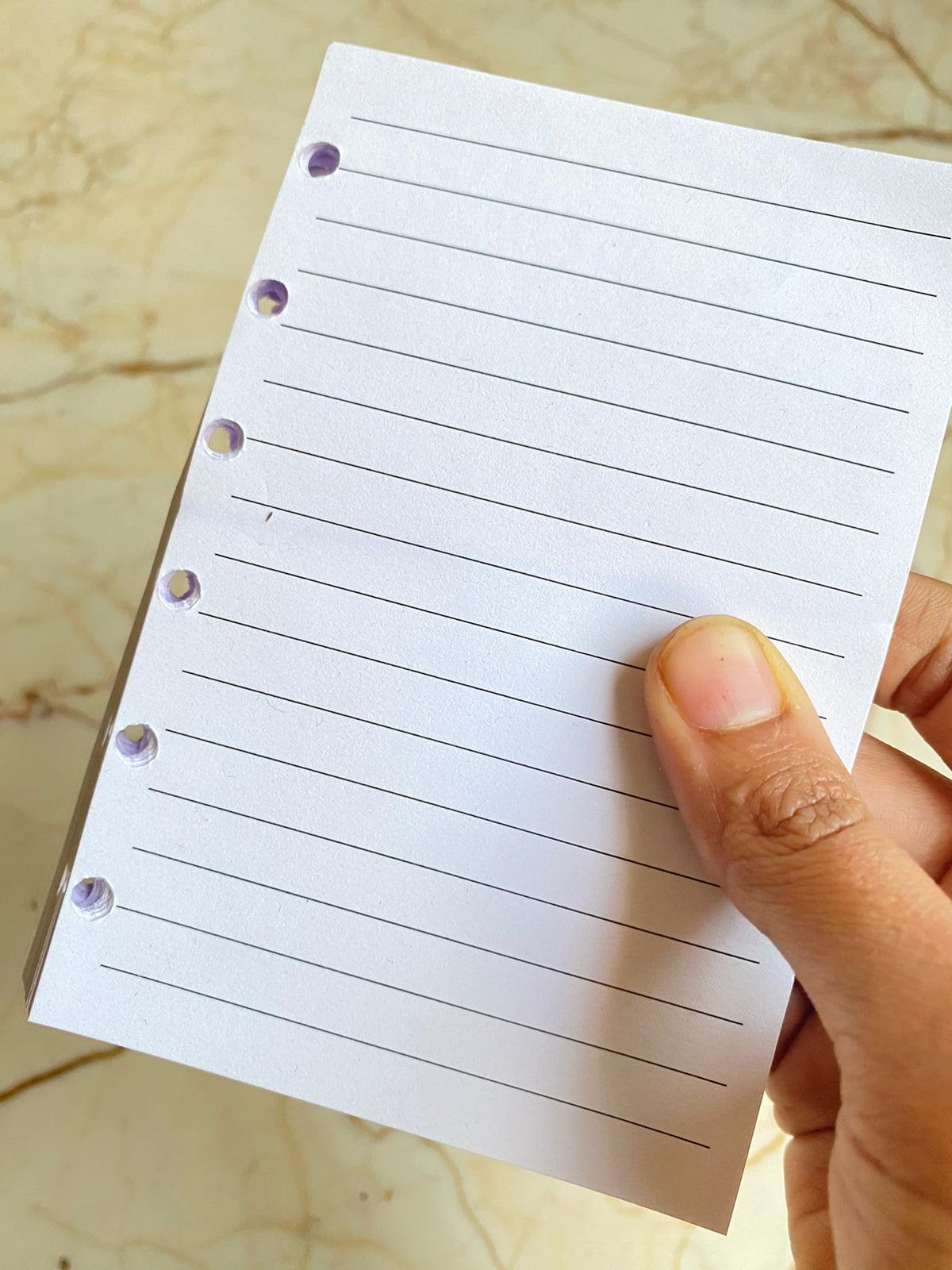 A6 Notebook / Diary Pages with Holes