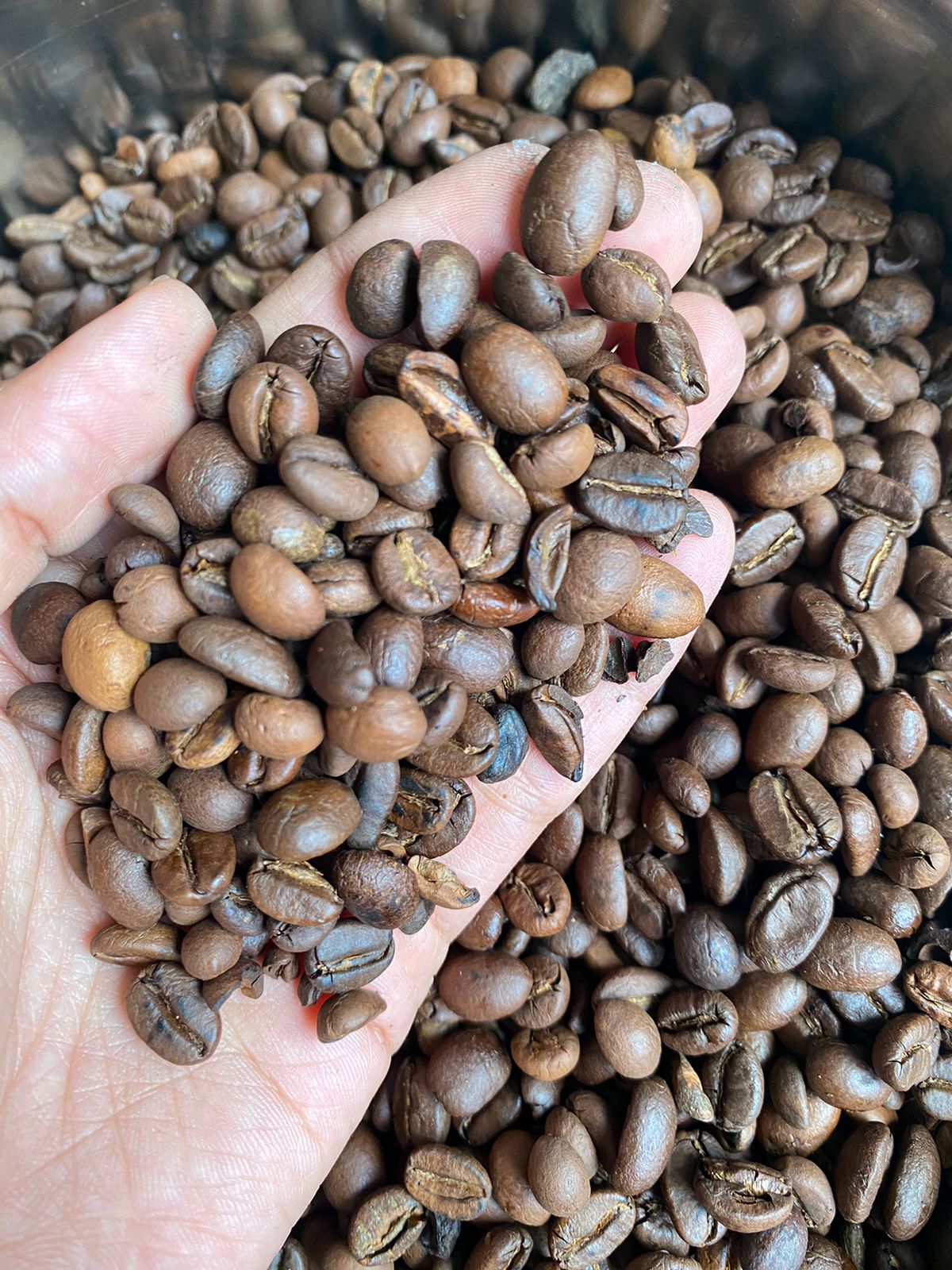 Coffee Beans